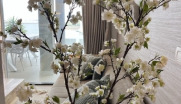 IMG_3474 normaal.jpeg